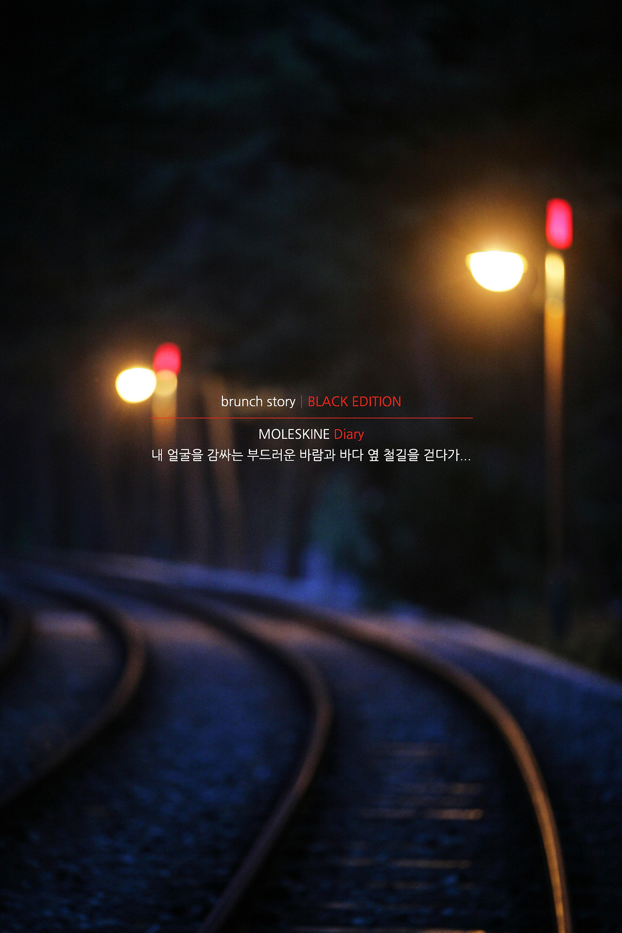 MOLESKINEDiary164.jpg