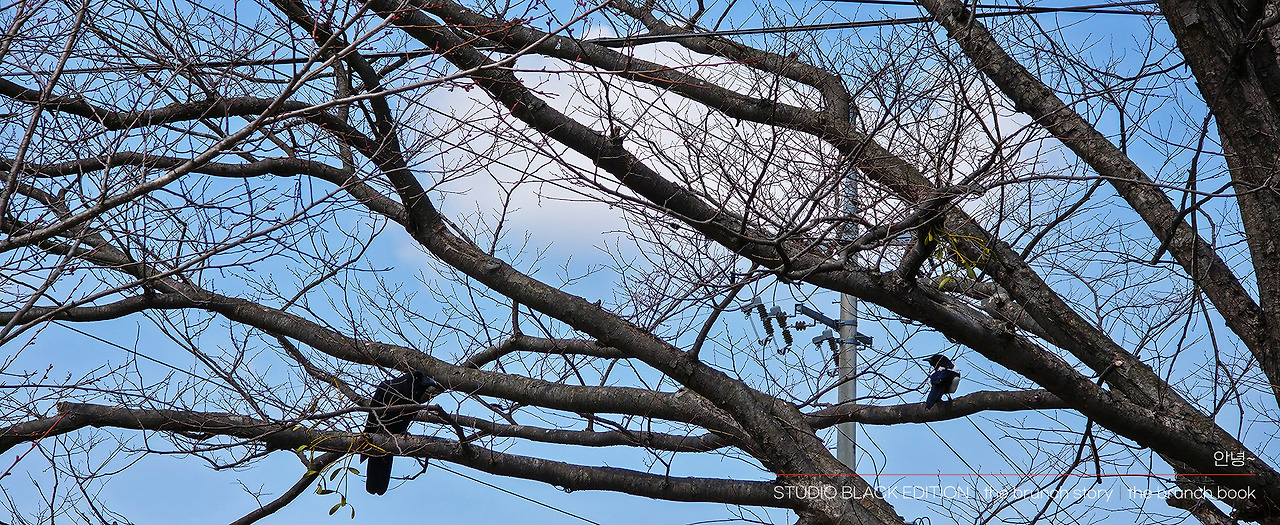 THE BRUNCH STORY 524.jpg