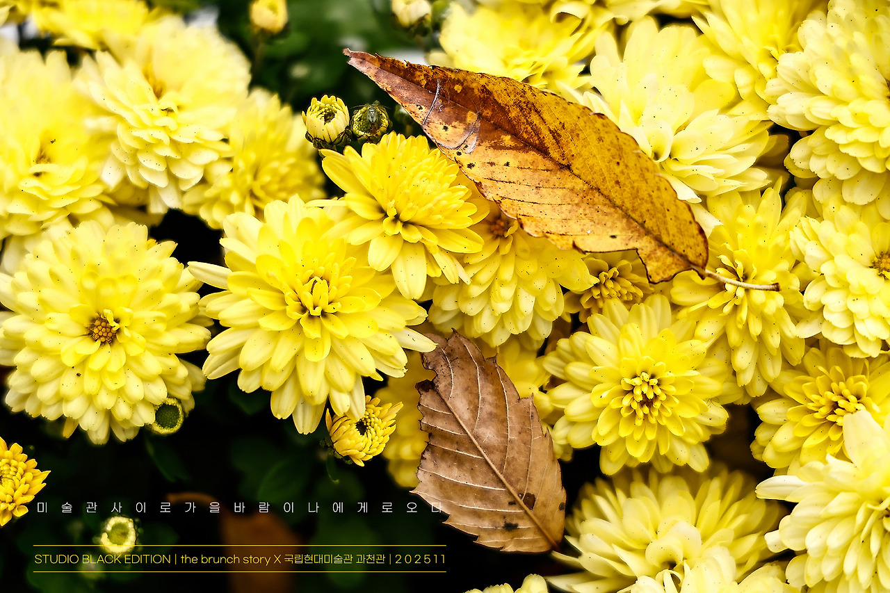 THE BRUNCH STORY 756.jpg