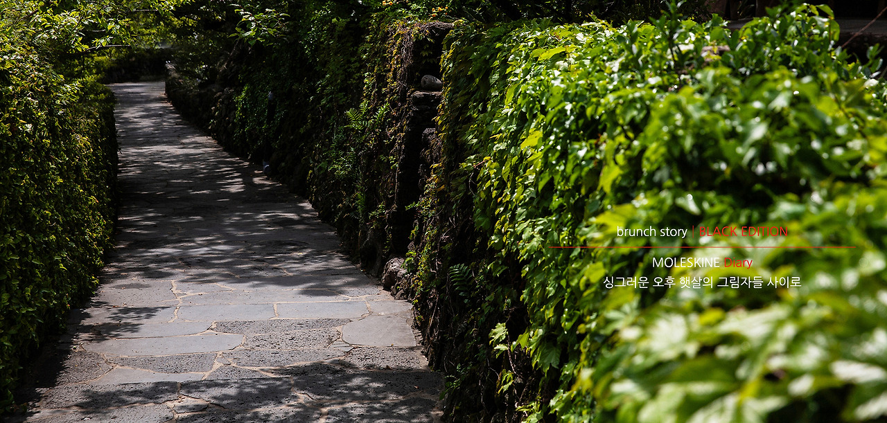 MOLESKINEDiary303.jpg