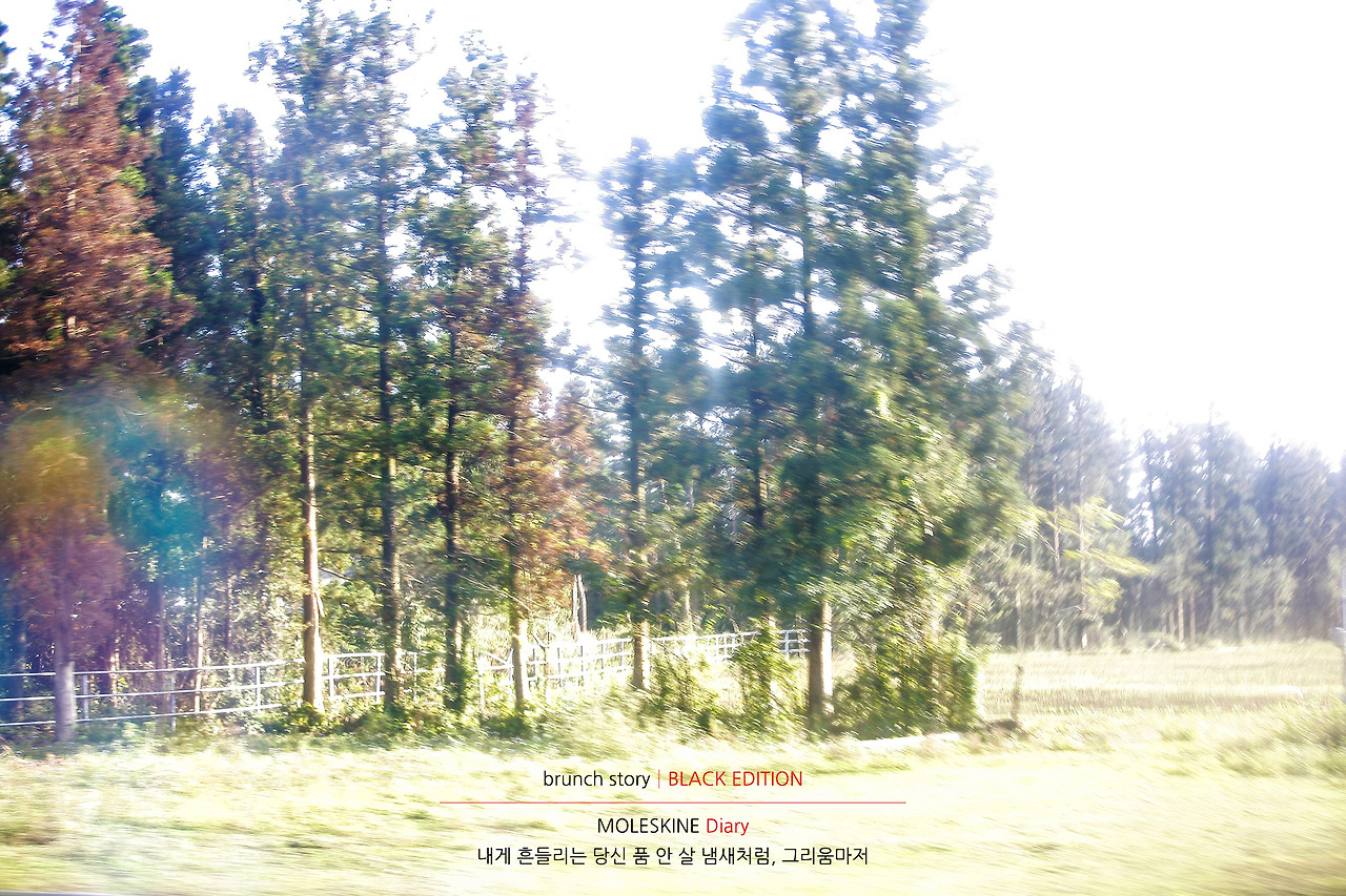 MOLESKINEDiary087.jpg