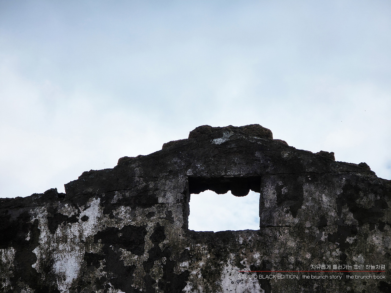 THE BRUNCH STORY 573.jpg