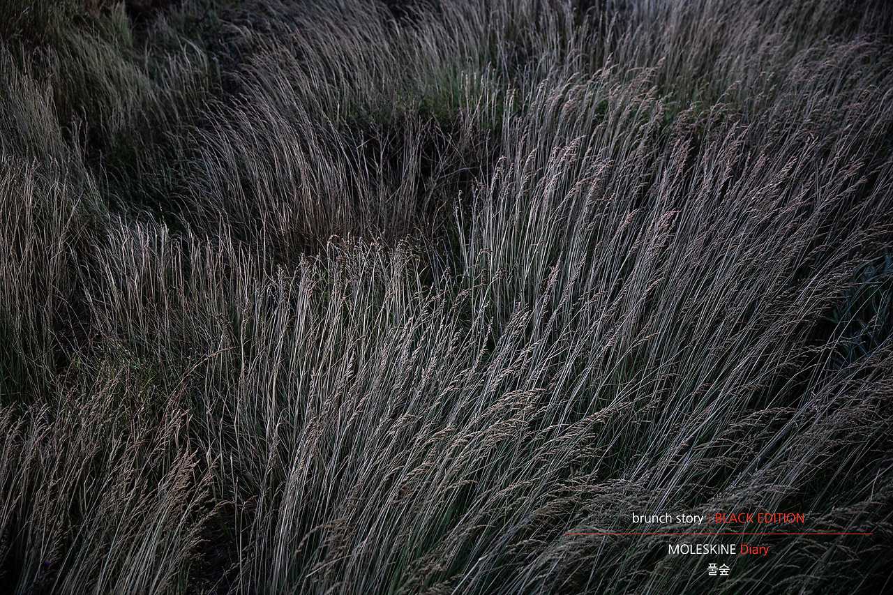 MOLESKINEDiary086.jpg