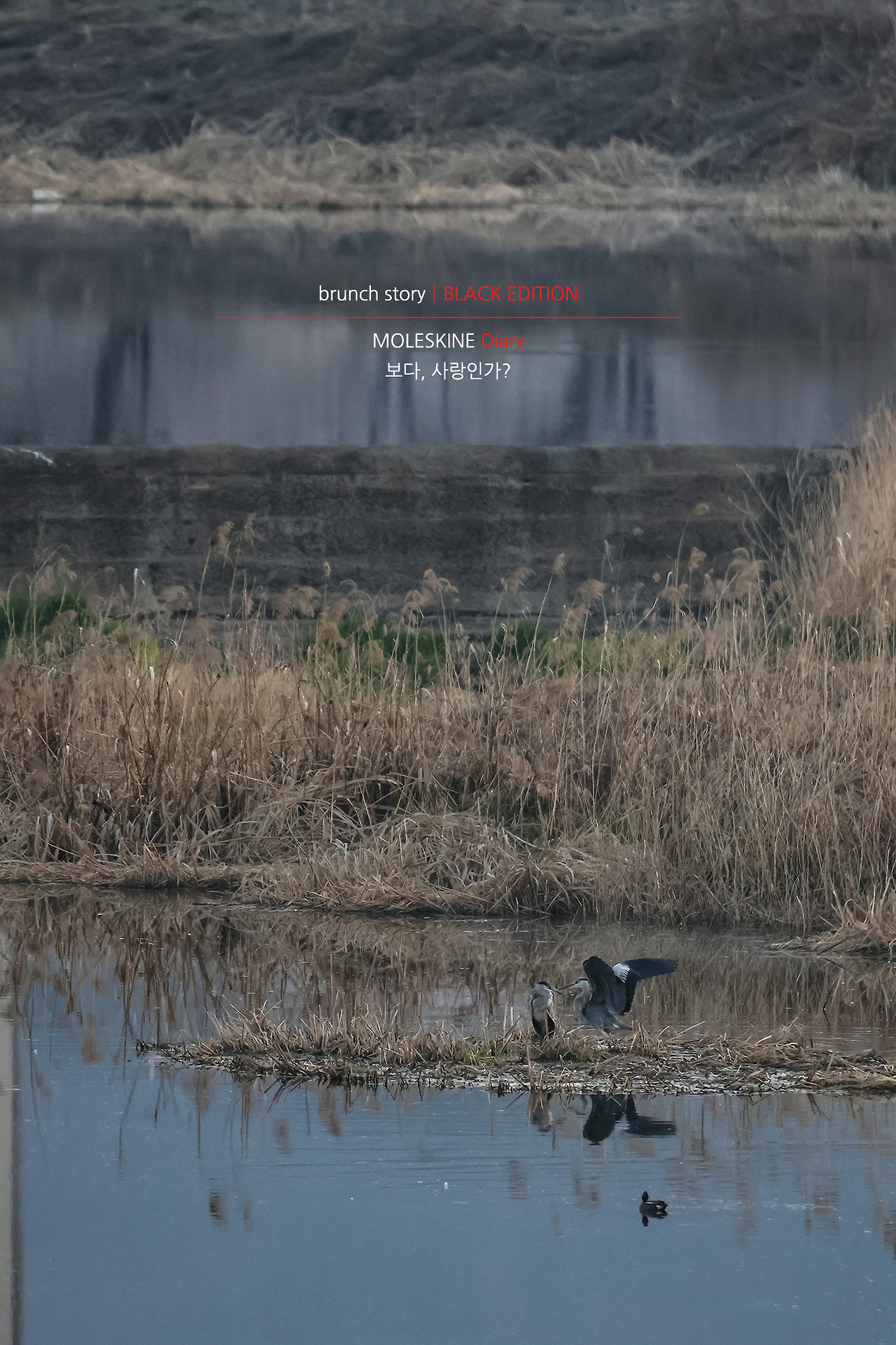 MOLESKINEDiary184.jpg
