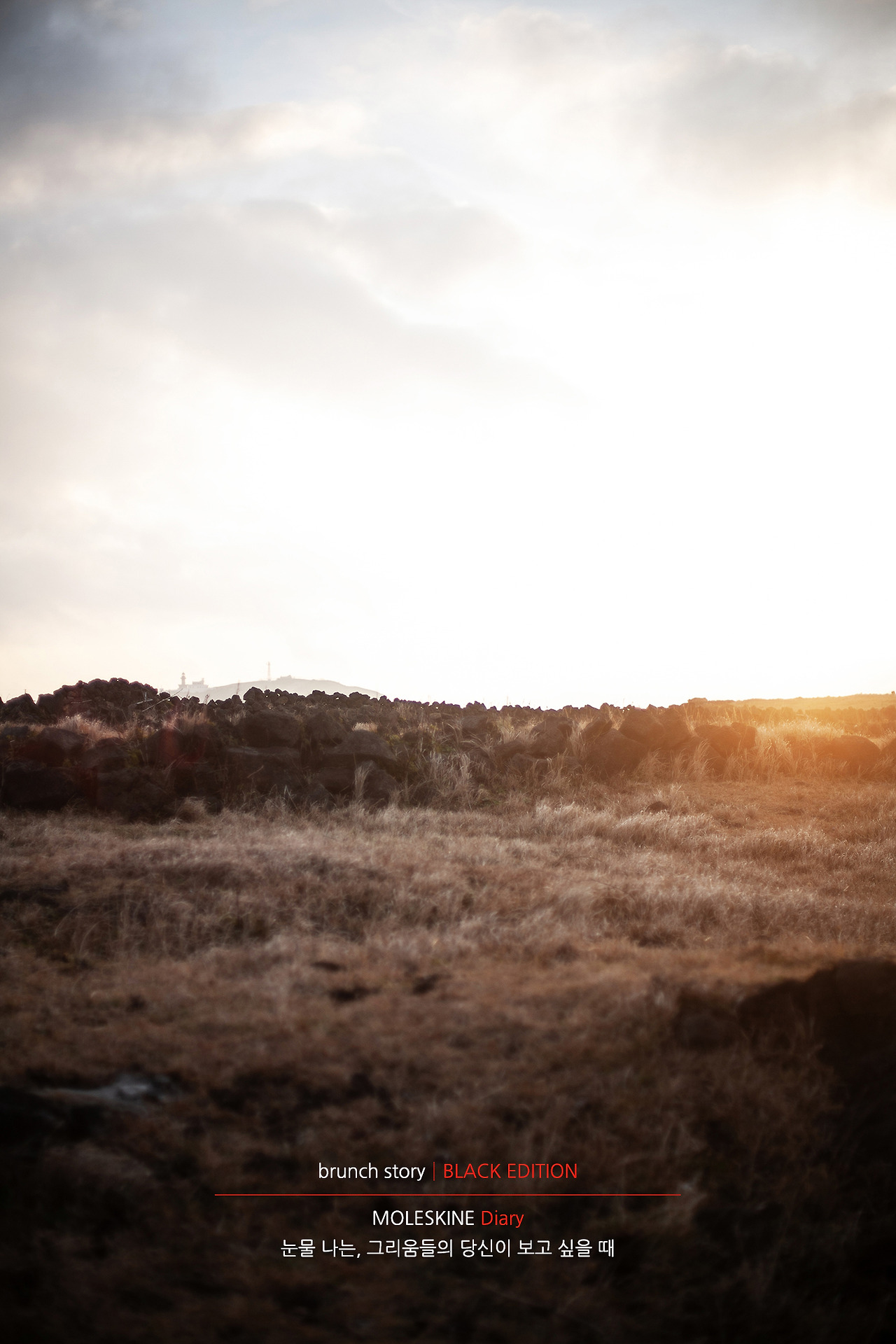 MOLESKINEDiary239.jpg
