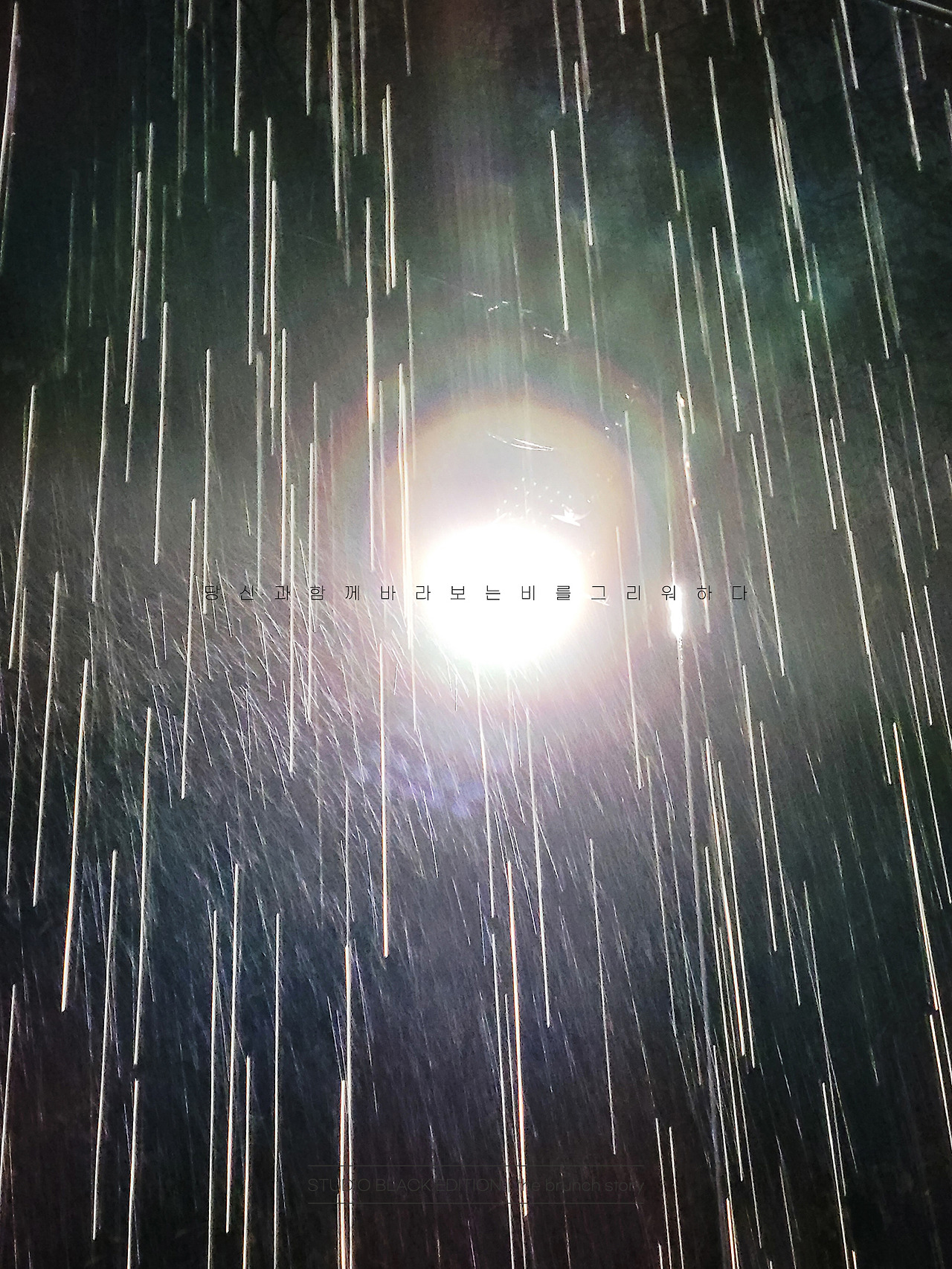 THE BRUNCH STORY 731.jpg