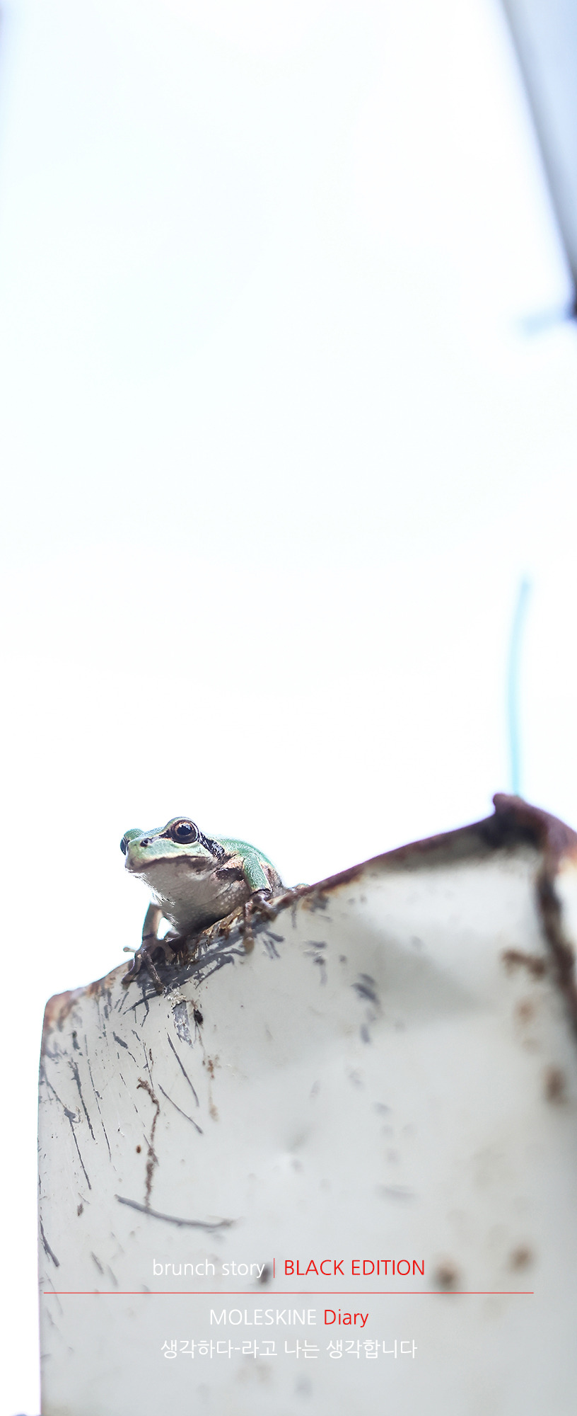 MOLESKINEDiary262.jpg