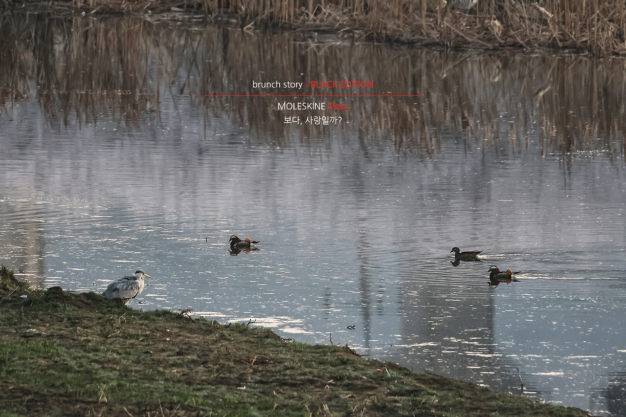 MOLESKINEDiary185.jpg