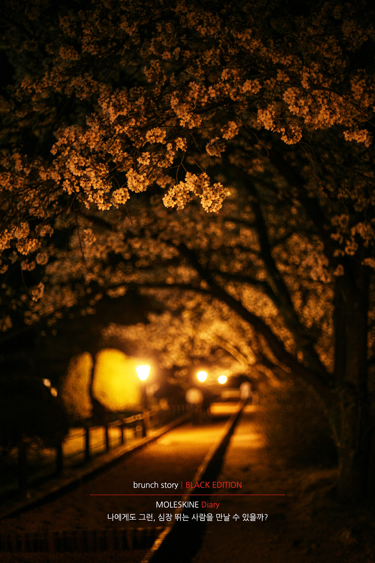 MOLESKINEDiary109.jpg