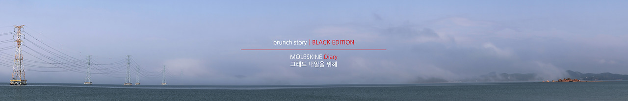 MOLESKINEDiary009.jpg