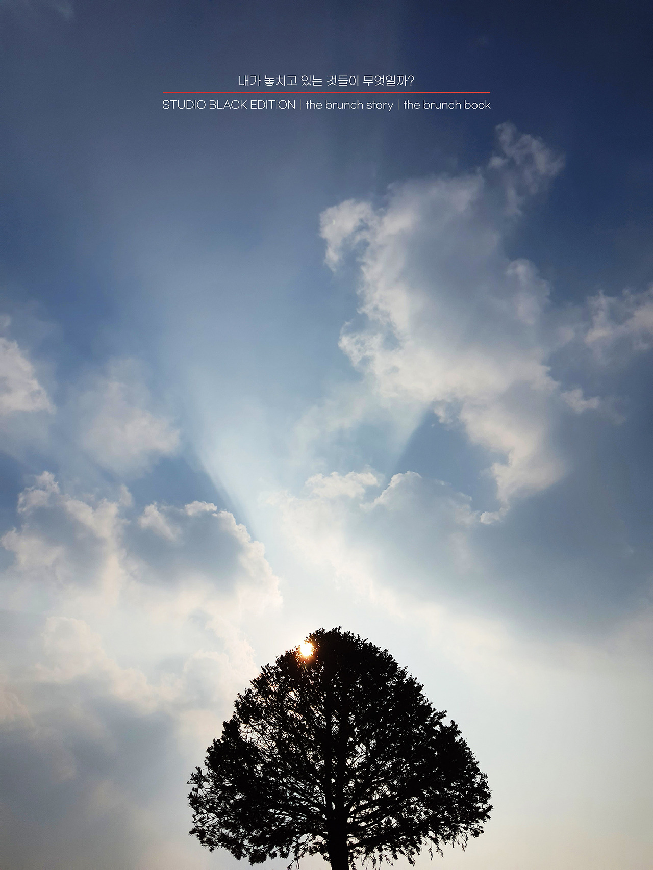 THE BRUNCH STORY 438.jpg