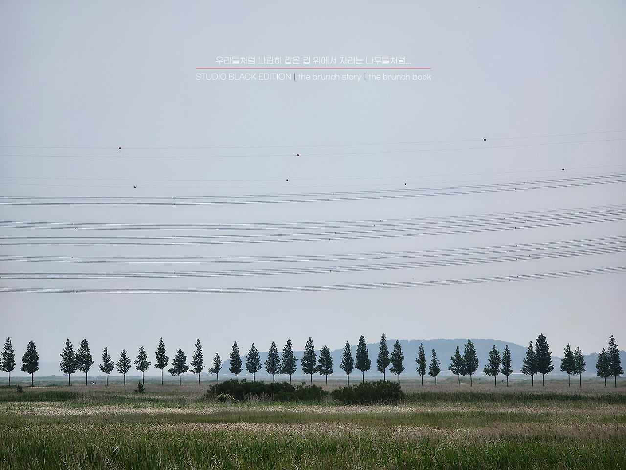 THE BRUNCH STORY 589.jpg