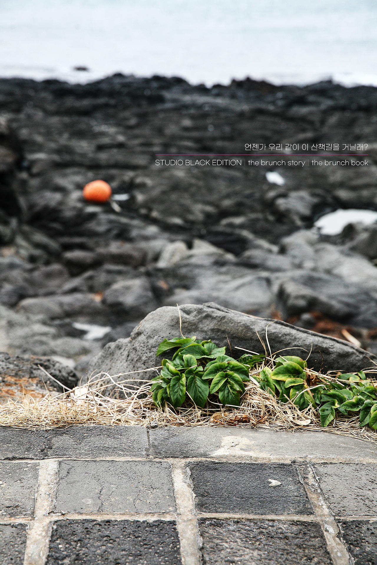 THE BRUNCH STORY 424.jpg