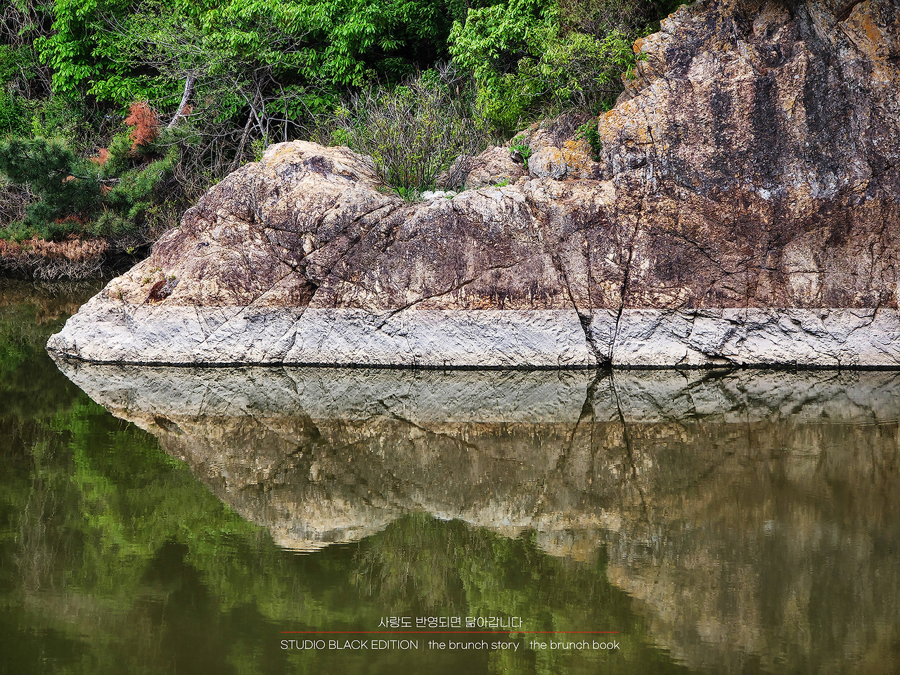 THE BRUNCH STORY 570.jpg