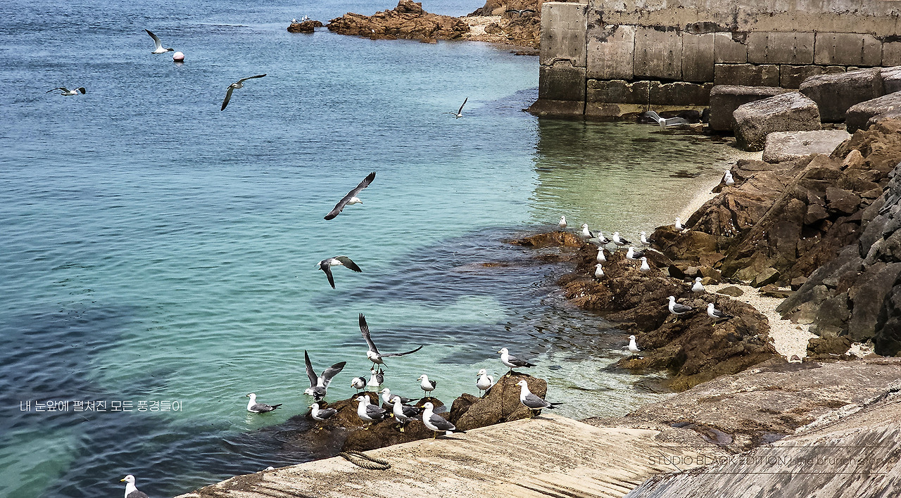 THE BRUNCH STORY 667.jpg