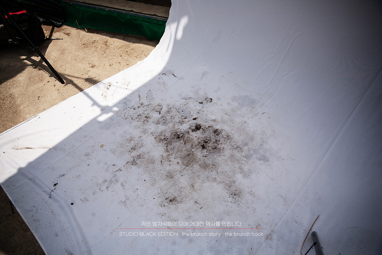 THE BRUNCH STORY 579.jpg