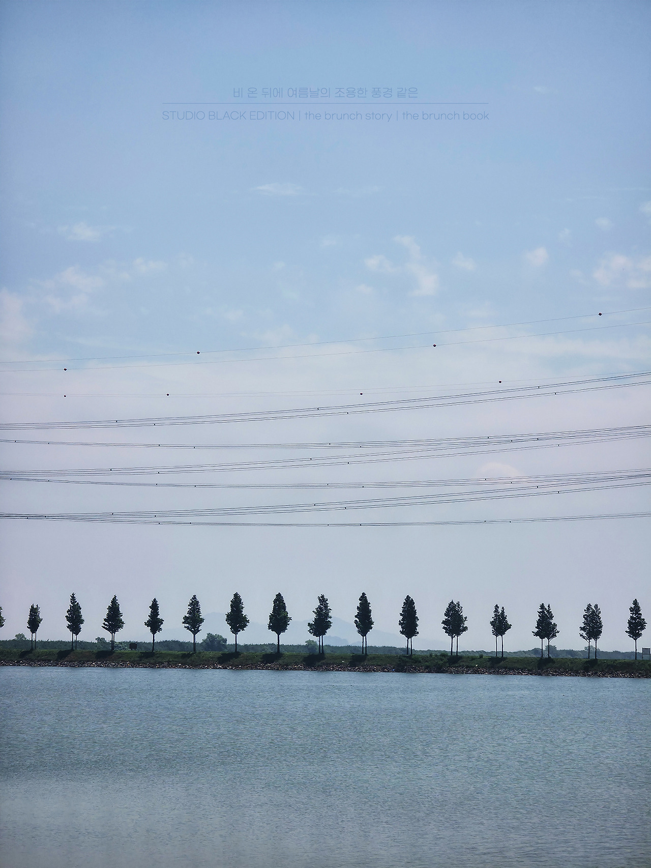 THE BRUNCH STORY 604.jpg