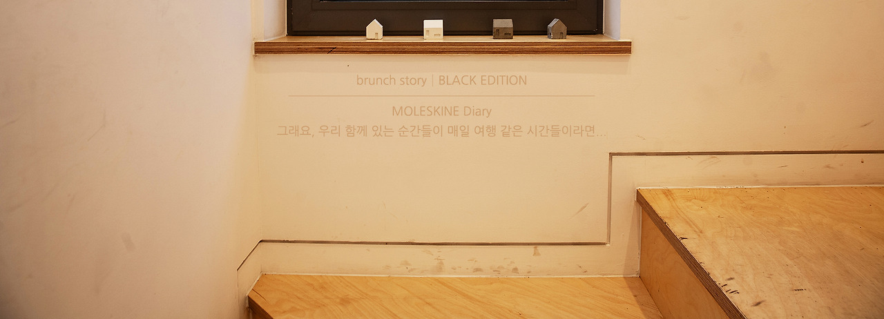 MOLESKINEDiary250.jpg