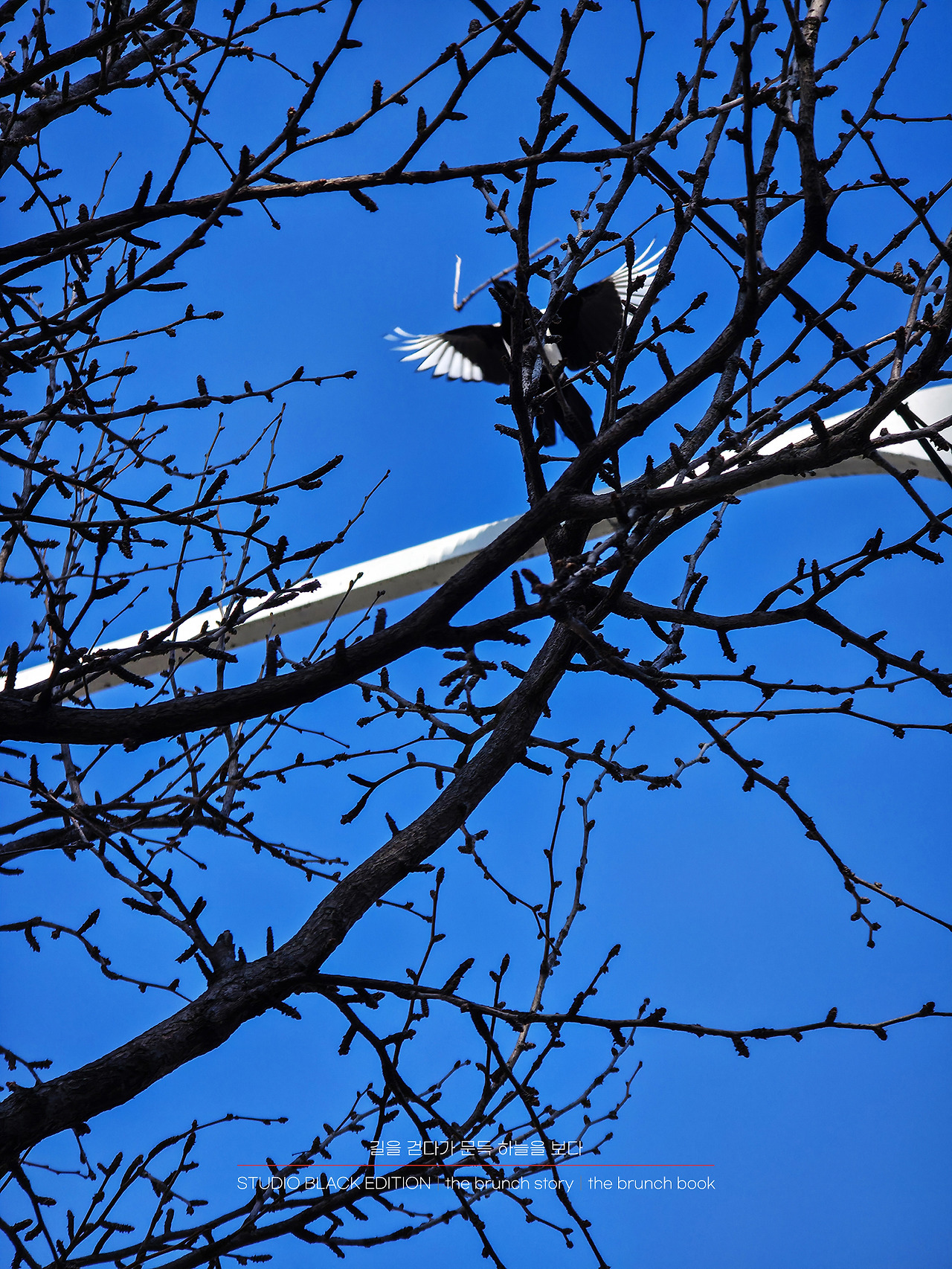 THE BRUNCH STORY 504.jpg