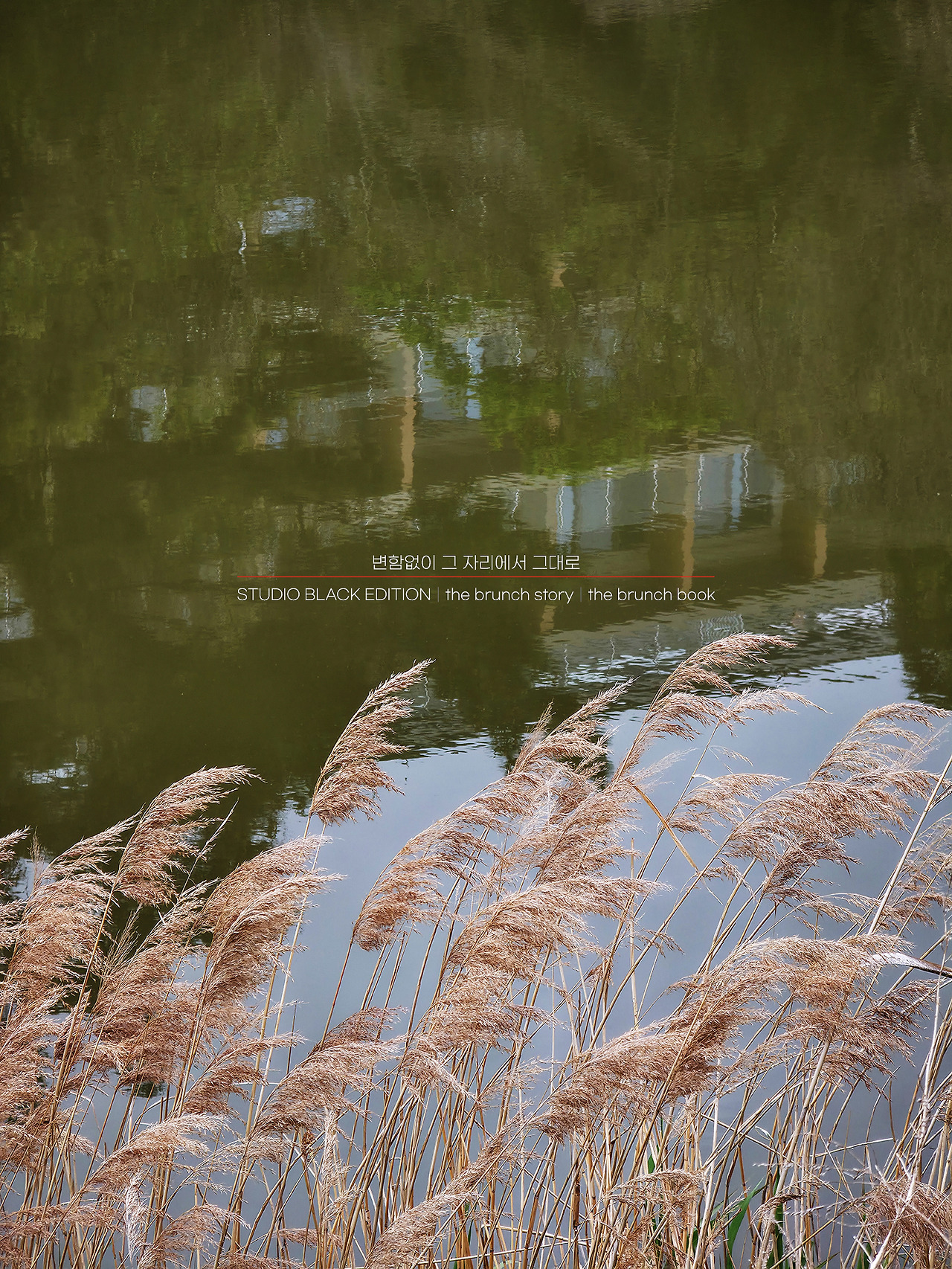 THE BRUNCH STORY 569.jpg