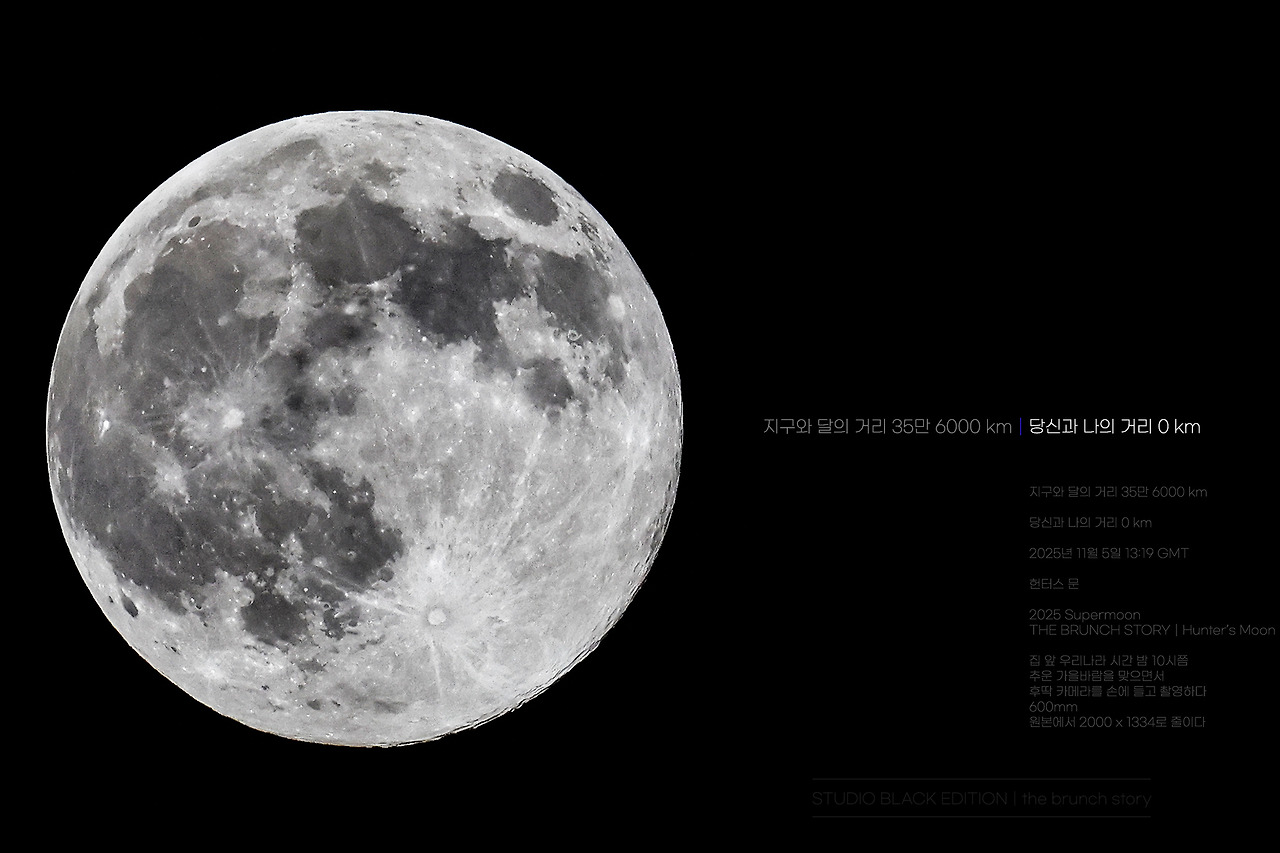 THE BRUNCH STORY 752.jpg