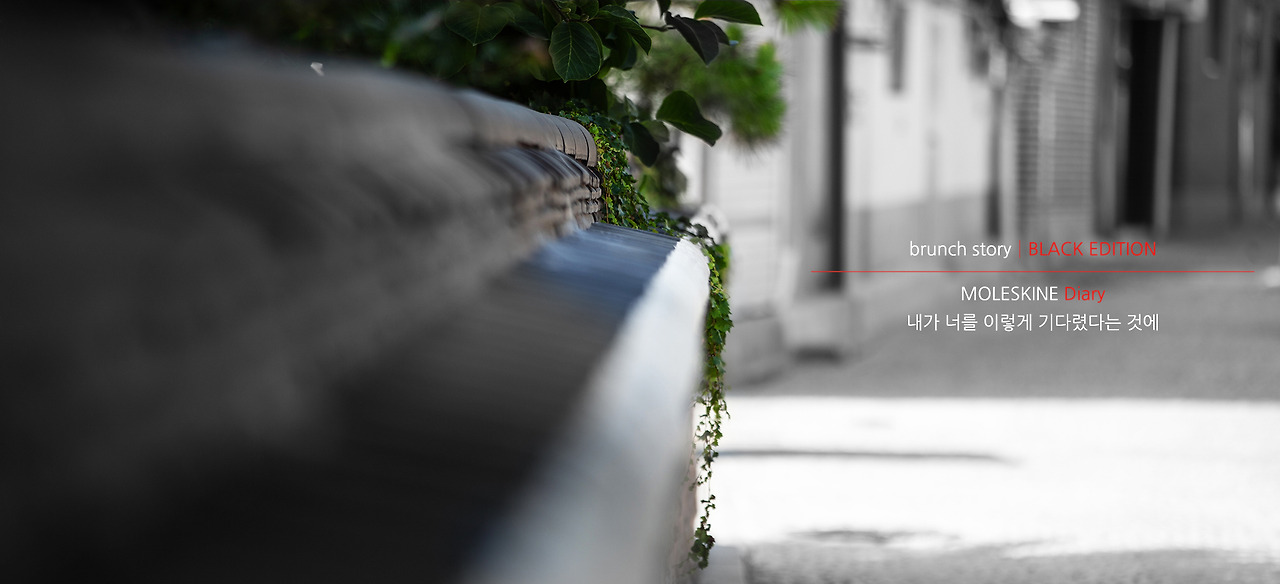MOLESKINEDiary122.jpg
