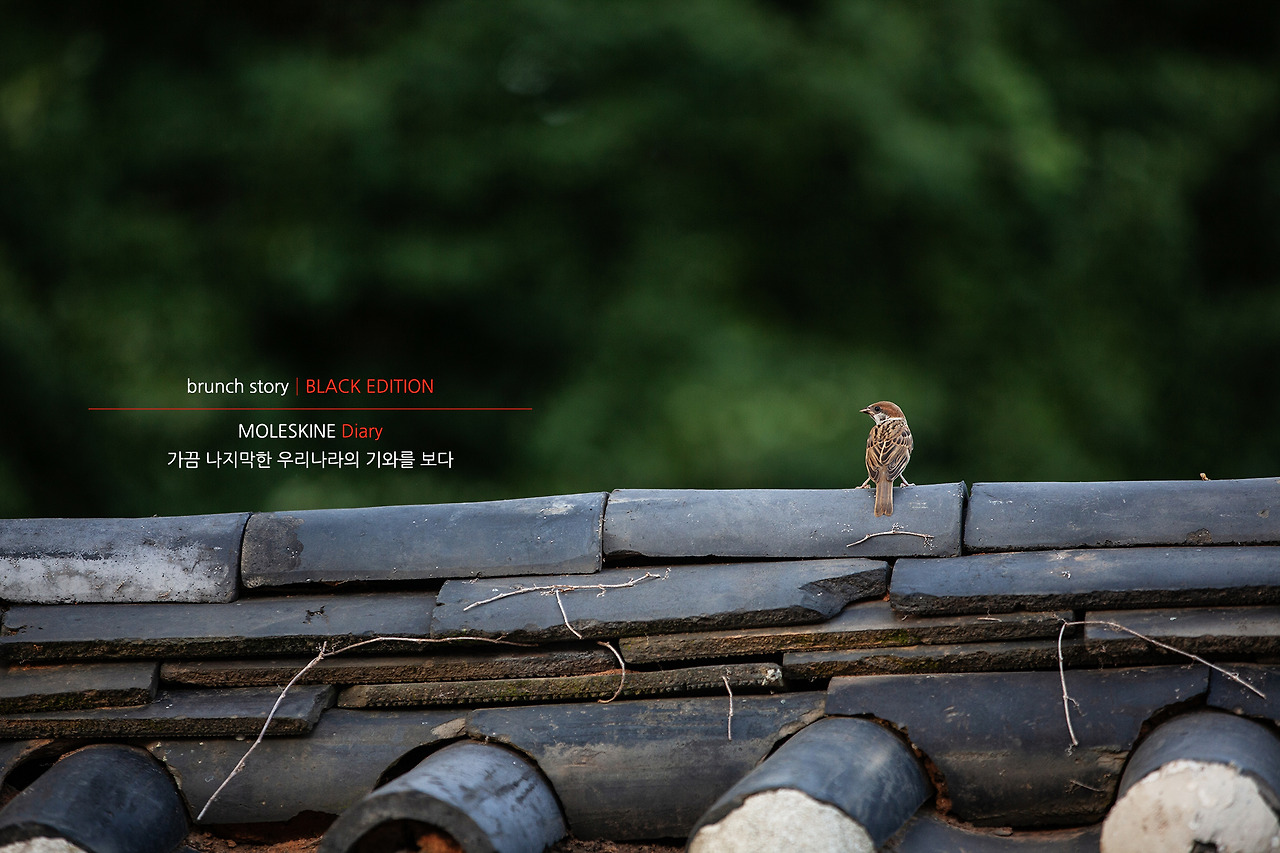 MOLESKINEDiary137.jpg