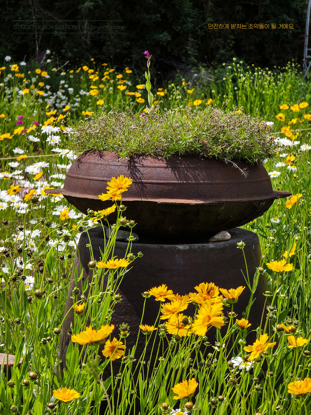 THE BRUNCH STORY 633.jpg