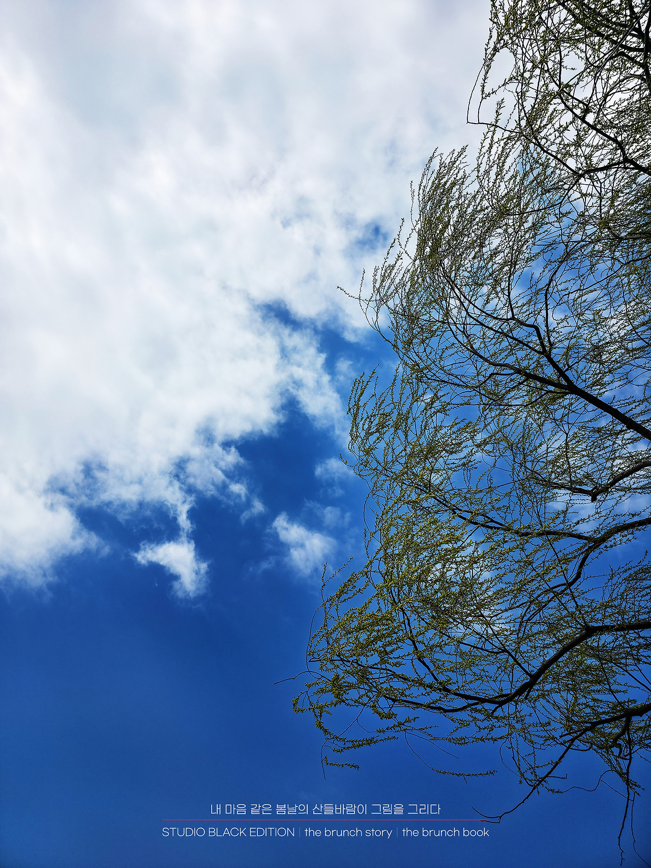 THE BRUNCH STORY 526.jpg