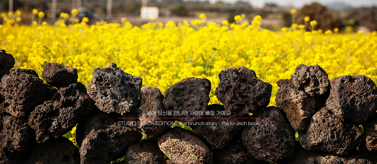 THE BRUNCH STORY 494.jpg