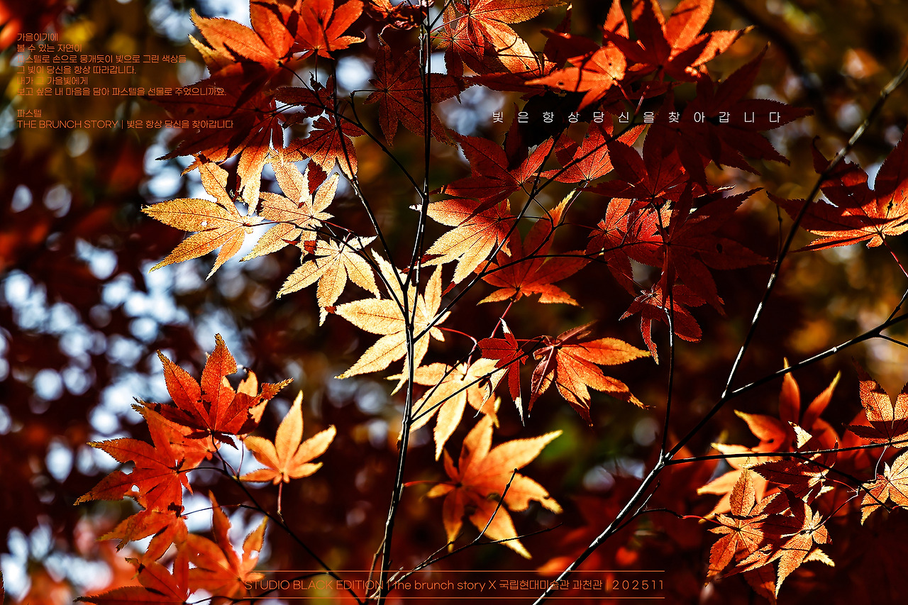 THE BRUNCH STORY 763.jpg