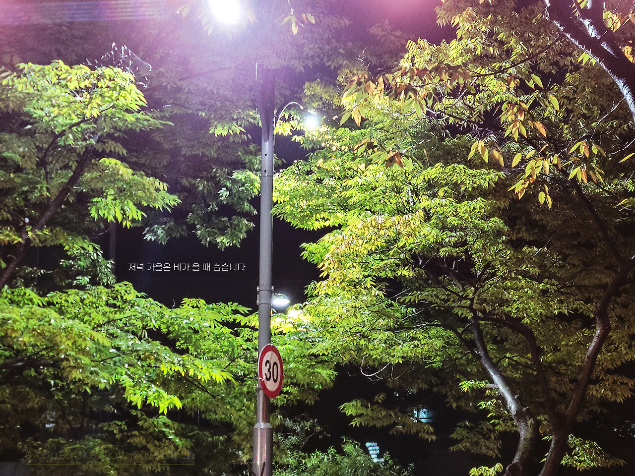 THE BRUNCH STORY 734.jpg