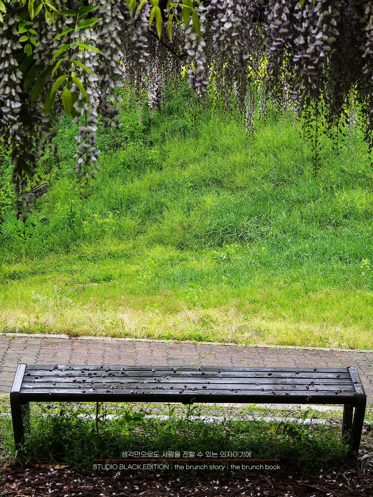 THE BRUNCH STORY 571.jpg