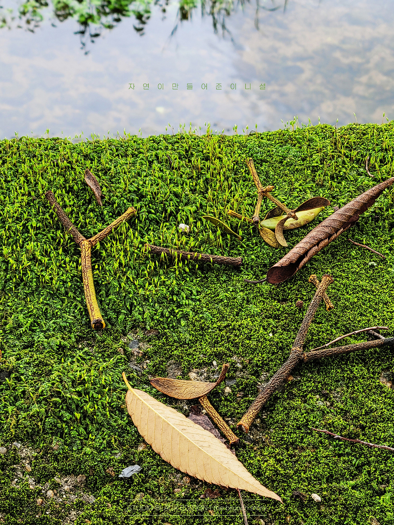 THE BRUNCH STORY 709.jpg