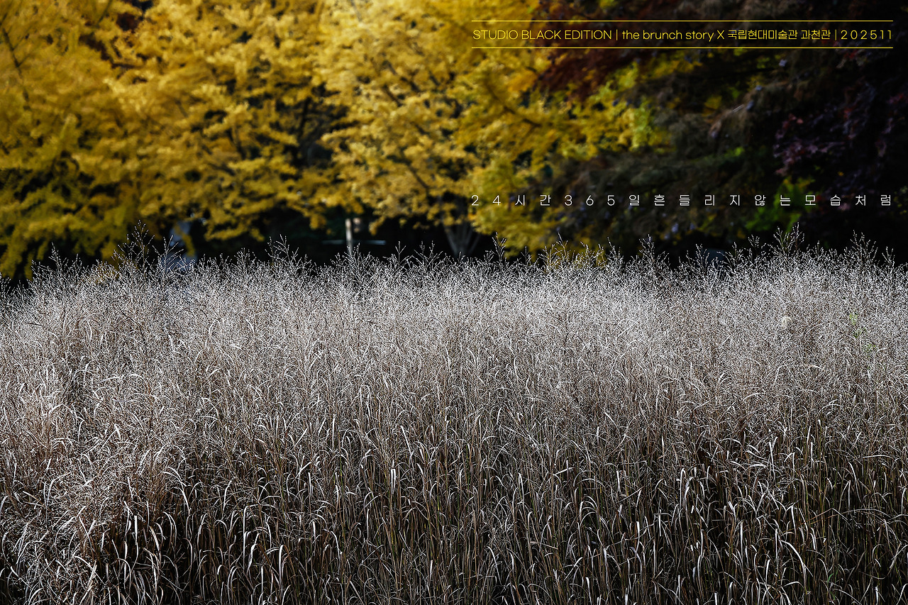 THE BRUNCH STORY 759.jpg