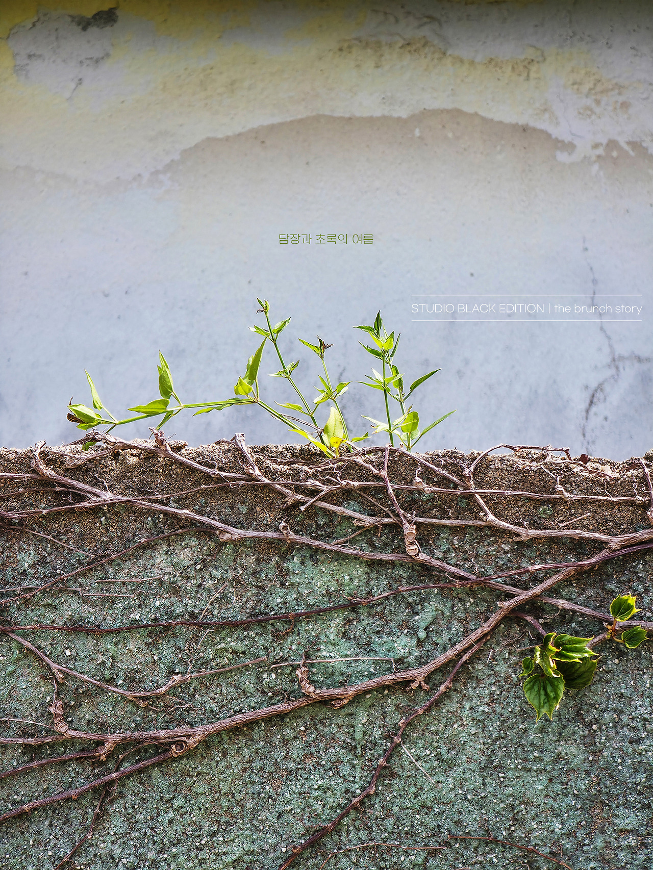 THE BRUNCH STORY 627.jpg