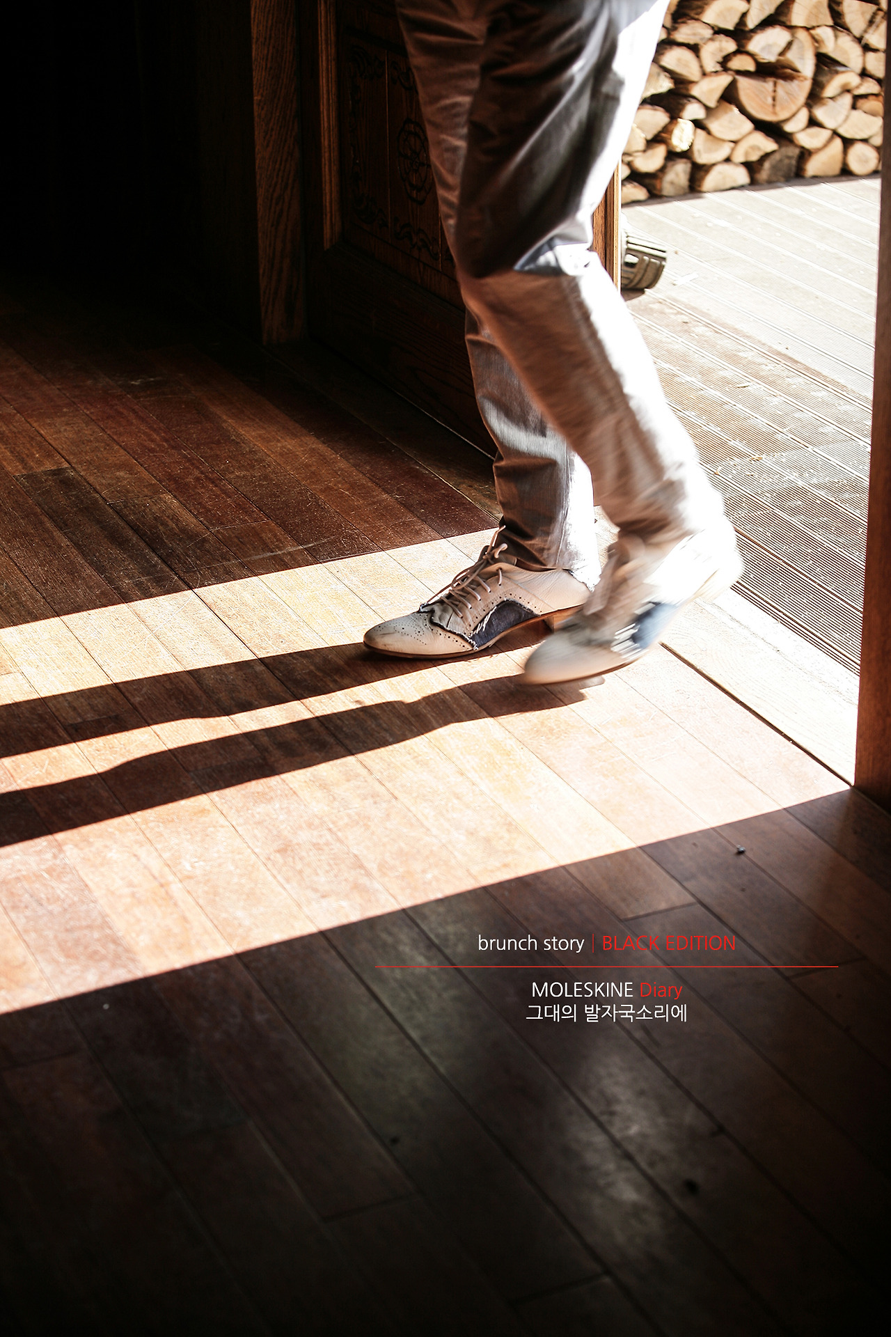 MOLESKINEDiary048.jpg