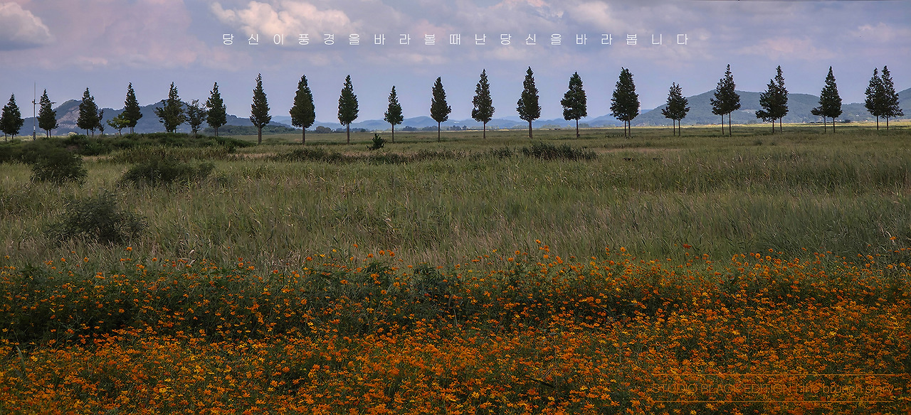 THE BRUNCH STORY 684.jpg