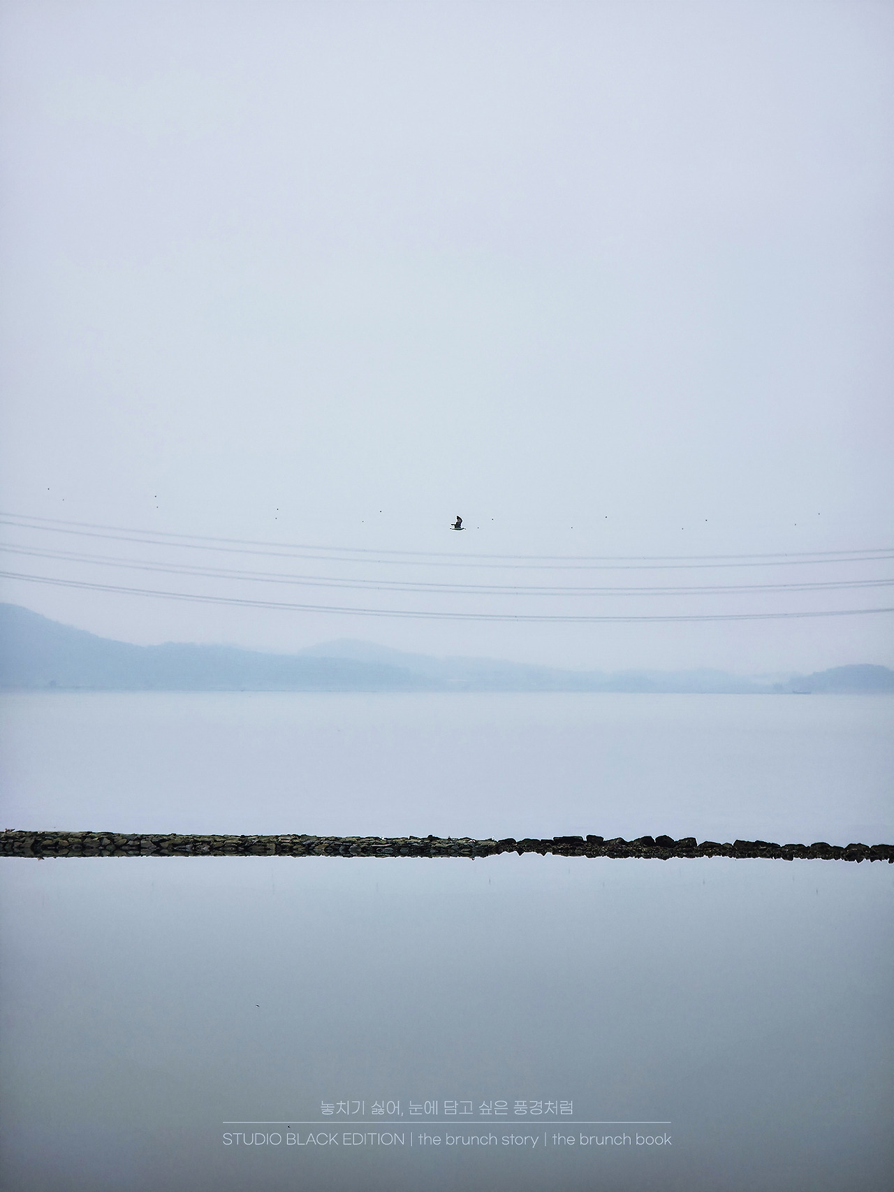 THE BRUNCH STORY 591.jpg