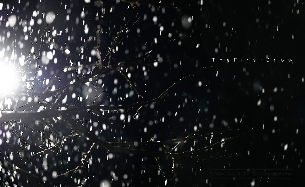 THE BRUNCH STORY 779.jpg