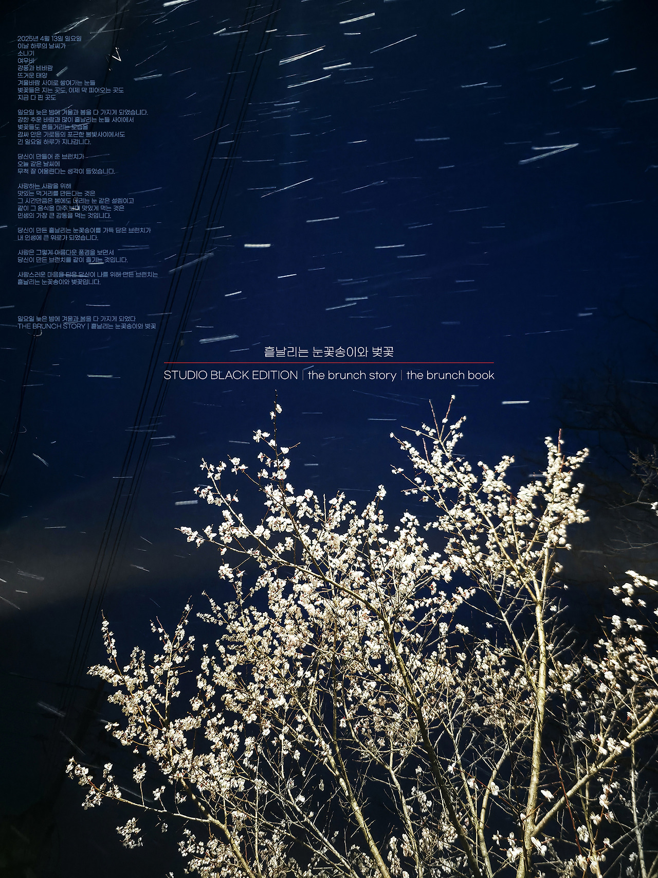 THE BRUNCH STORY 531.jpg