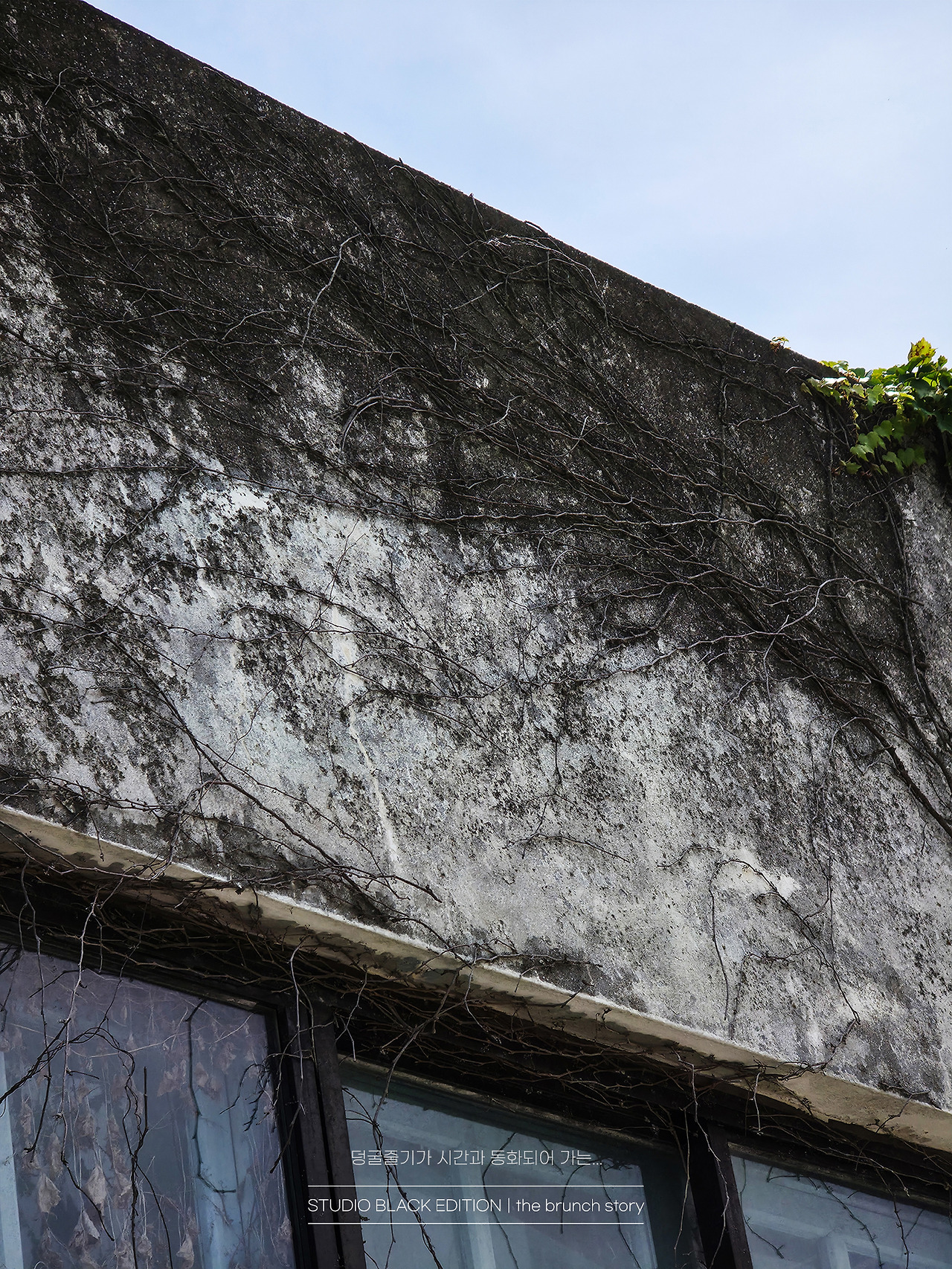 THE BRUNCH STORY 626.jpg