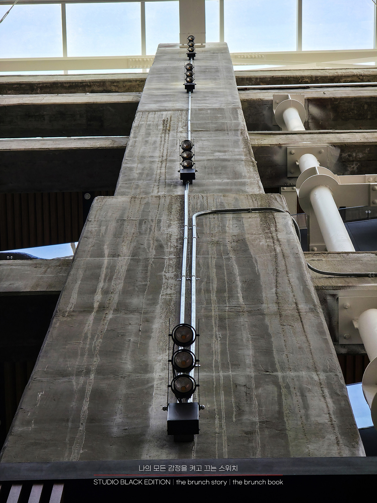 THE BRUNCH STORY 484.jpg