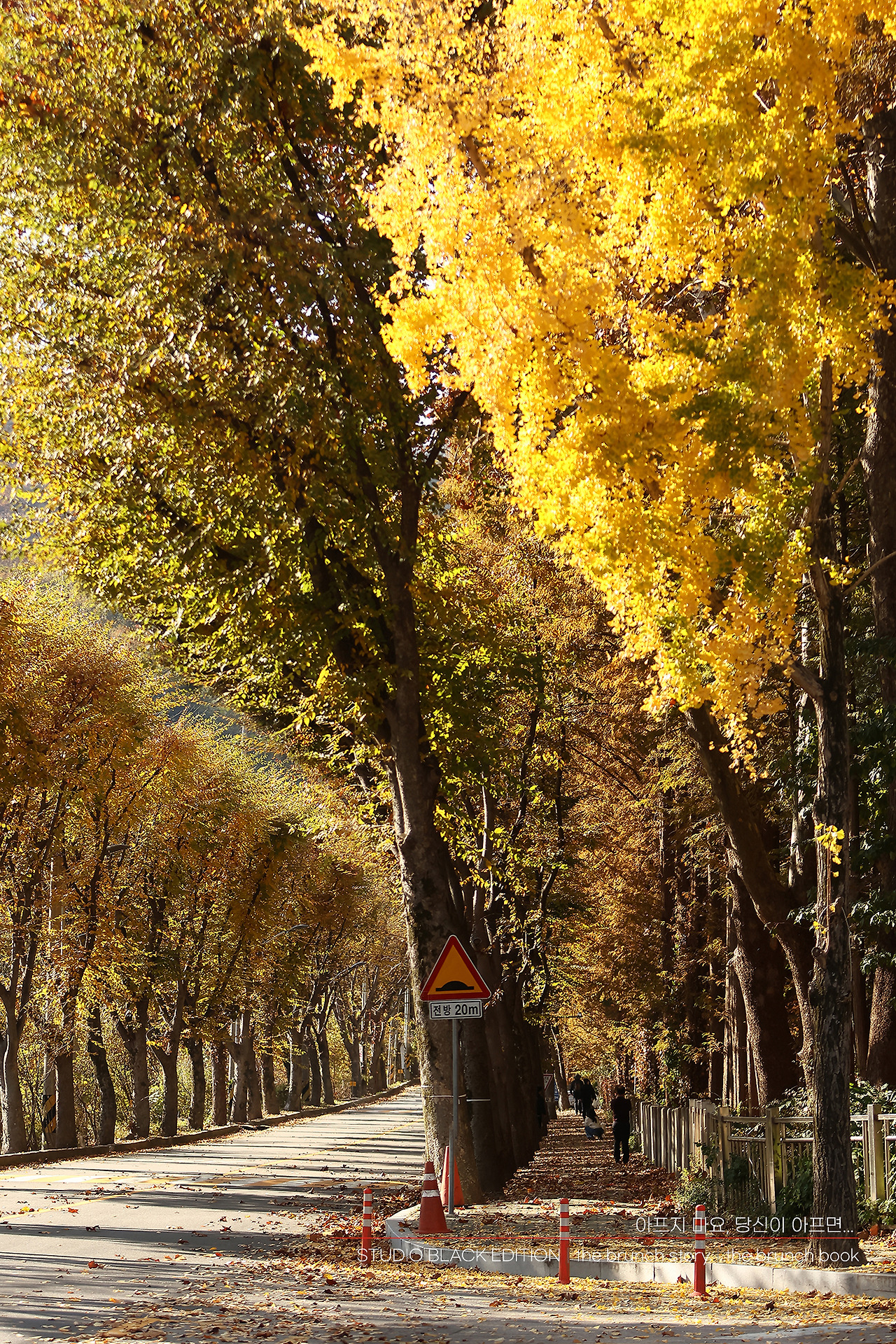 THE BRUNCH STORY 378.jpg