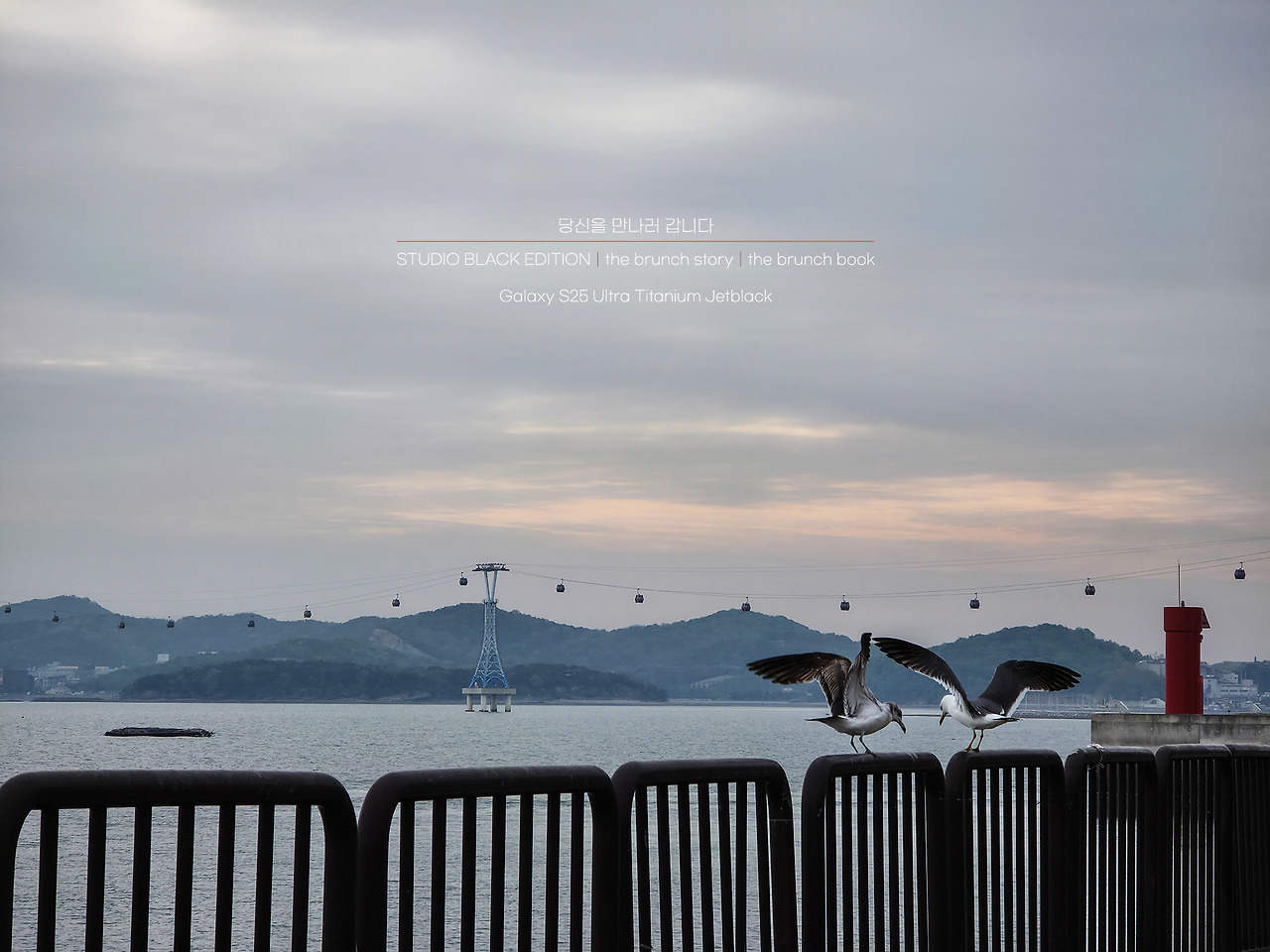 THE BRUNCH STORY 559.jpg