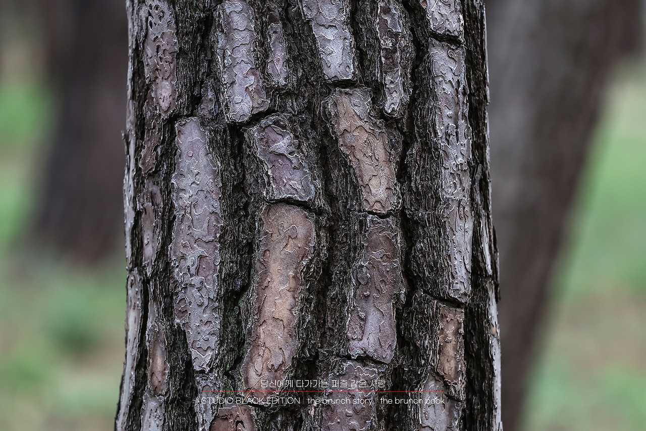 THE BRUNCH STORY 547.jpg