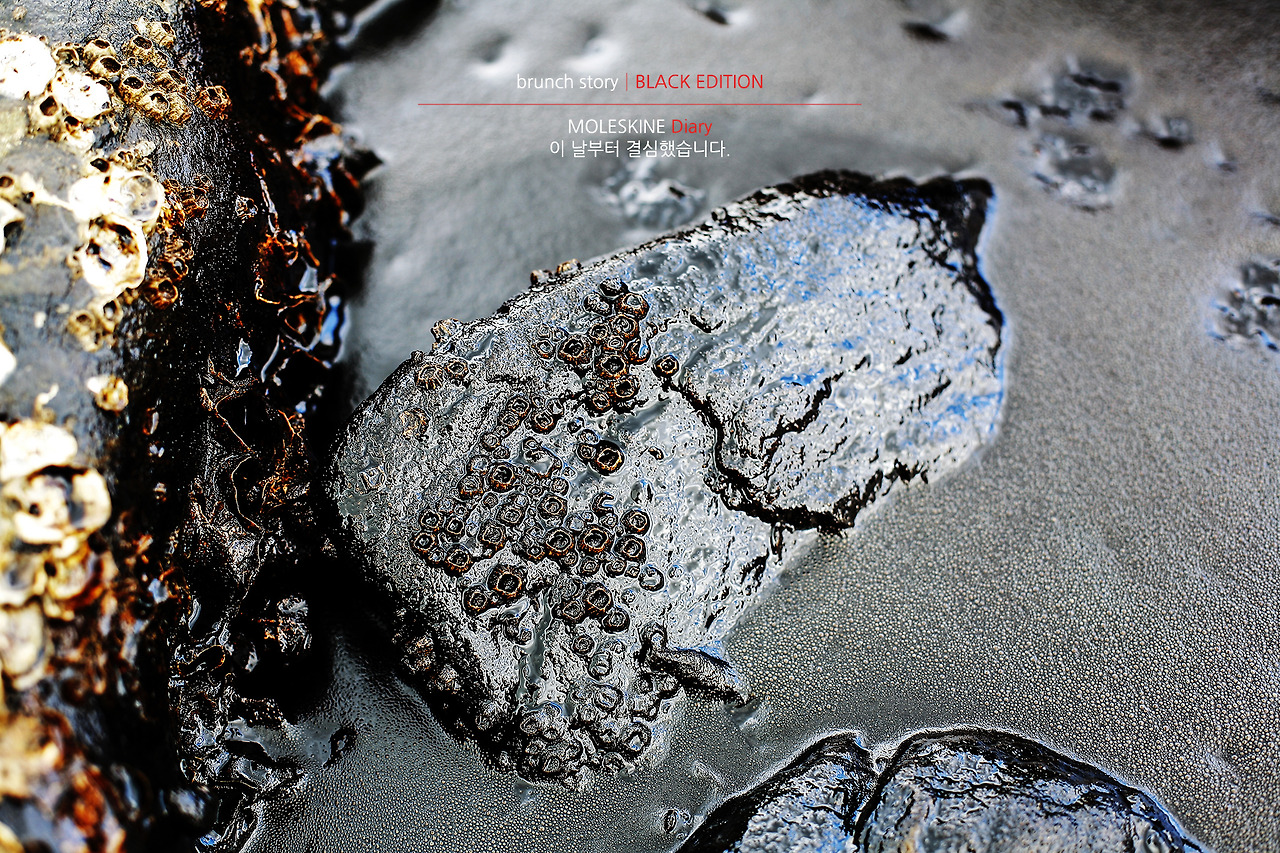 MOLESKINEDiary039.jpg