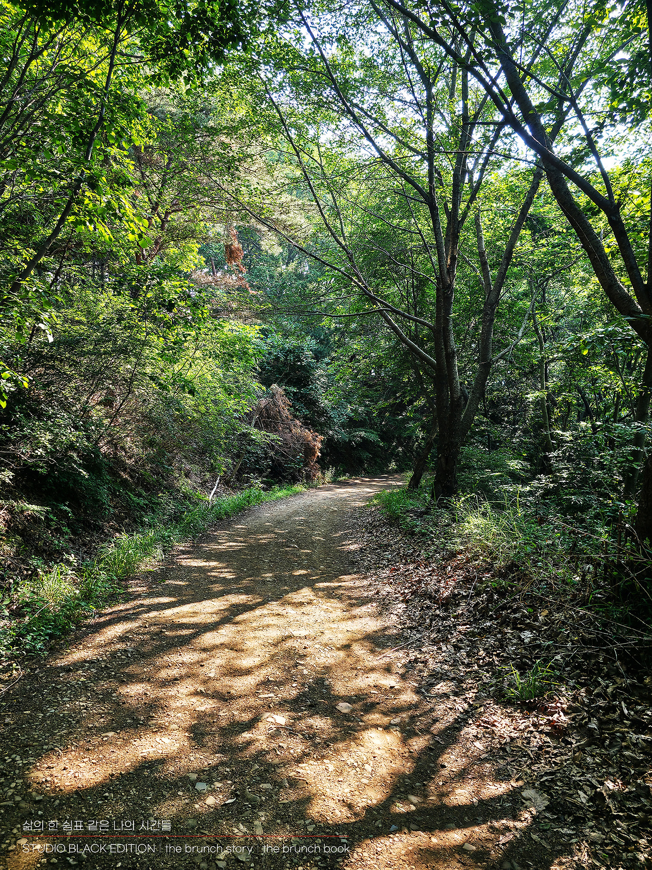 THE BRUNCH STORY 606.jpg