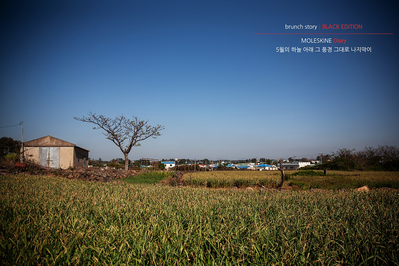 MOLESKINEDiary153.jpg