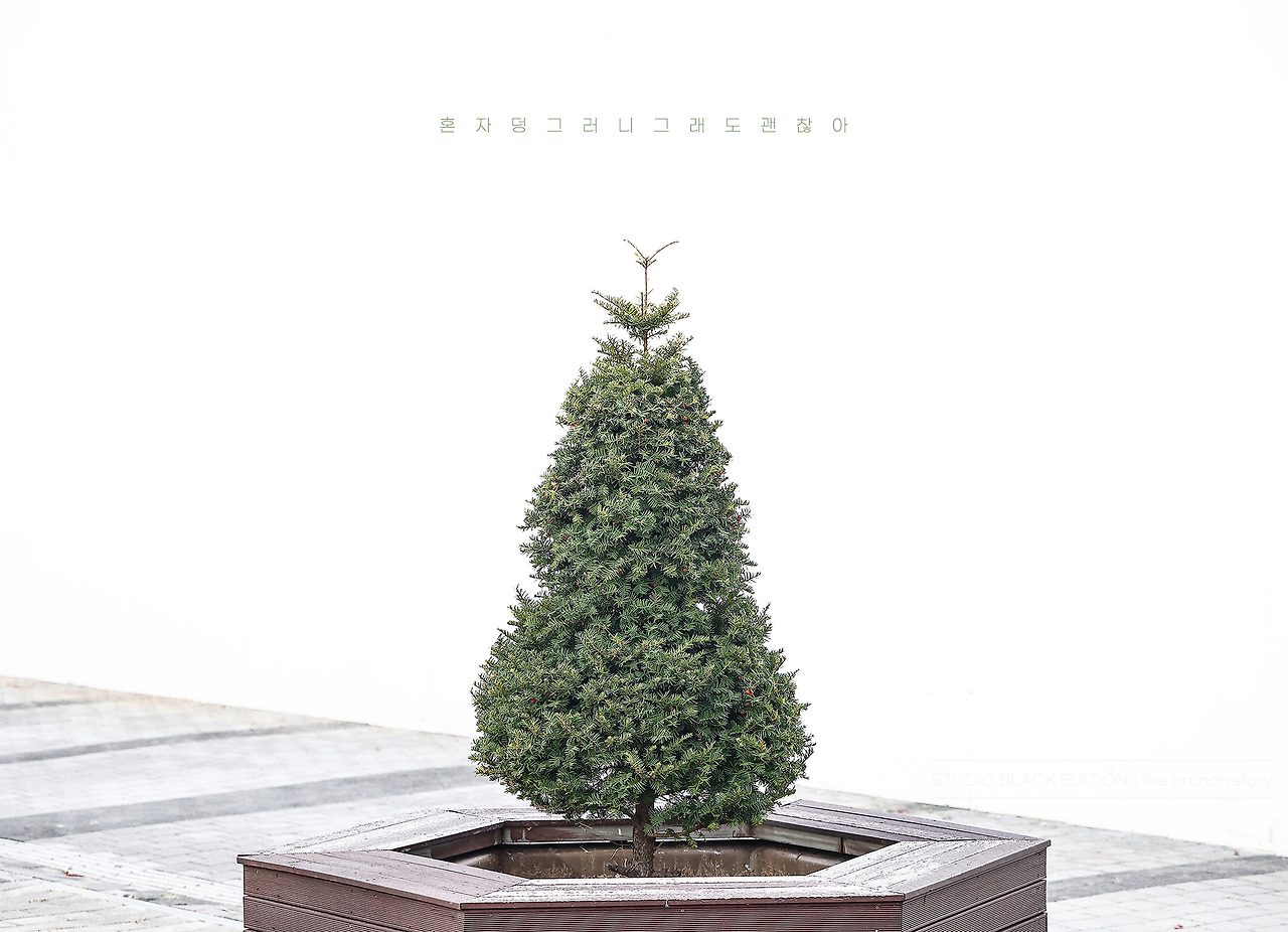 THE BRUNCH STORY 789.jpg